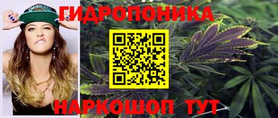кокс Анапа