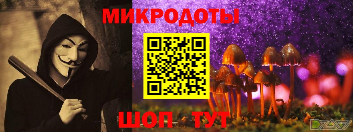 Псилоцибиновые грибы Cubensis  Вход с VPN  Псилоцибиновые грибы мицелий  Протвино 
