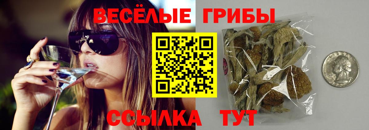 Псилоцибиновые грибы ЛСД Протвино